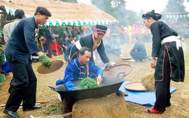 Kiểm tra tình hình sản xuất, kinh doanh chè 